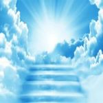 اللزوميات ( مع الاعتذار لأبي العلاء المعري ) / حامد علي عبد الرحمن